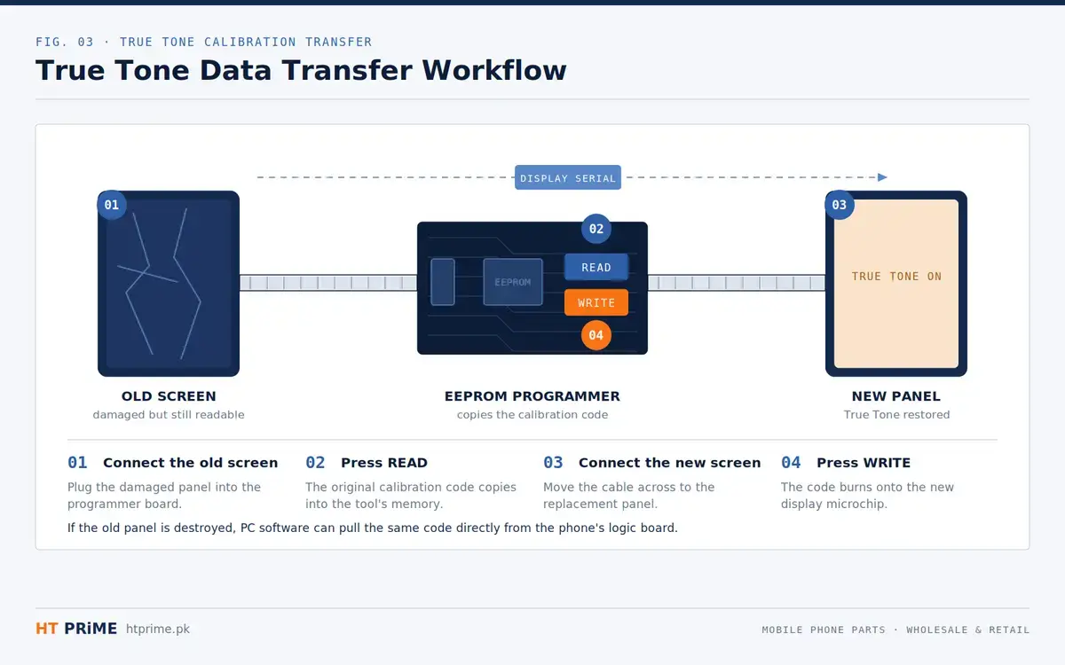 True Tone Transfer Workflow True Tone Transfer Workflow